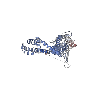 22009_6x2j_C_v1-2
Structure of human TRPA1 in complex with agonist GNE551