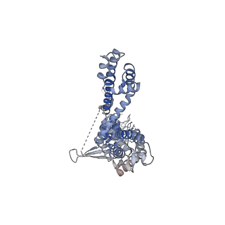 22009_6x2j_D_v1-1
Structure of human TRPA1 in complex with agonist GNE551