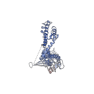 22009_6x2j_D_v1-2
Structure of human TRPA1 in complex with agonist GNE551