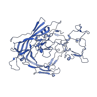 22010_6x2k_1_v1-0
The Tusavirus (TuV) capsid structure