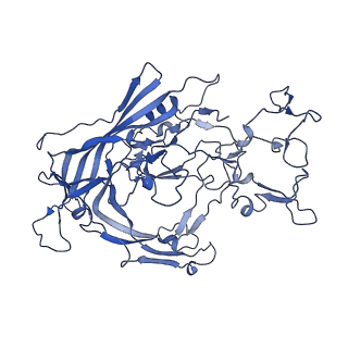 22010_6x2k_1_v1-1
The Tusavirus (TuV) capsid structure