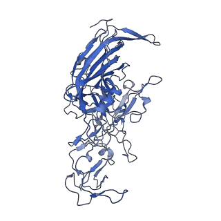 22010_6x2k_2_v1-0
The Tusavirus (TuV) capsid structure
