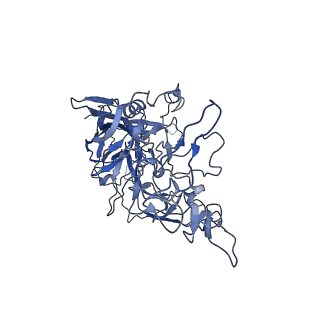 22010_6x2k_3_v1-0
The Tusavirus (TuV) capsid structure