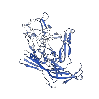 22010_6x2k_5_v1-0
The Tusavirus (TuV) capsid structure