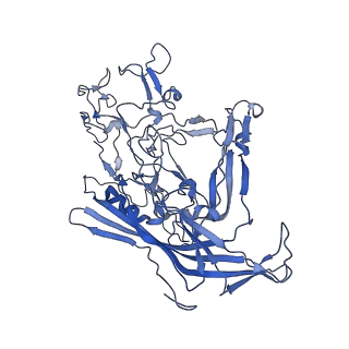 22010_6x2k_5_v1-1
The Tusavirus (TuV) capsid structure