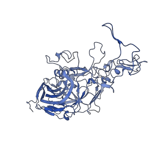 22010_6x2k_6_v1-0
The Tusavirus (TuV) capsid structure