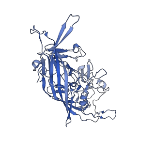 22010_6x2k_7_v1-0
The Tusavirus (TuV) capsid structure