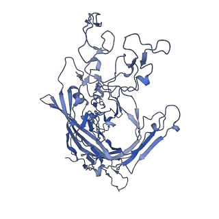 22010_6x2k_8_v1-0
The Tusavirus (TuV) capsid structure