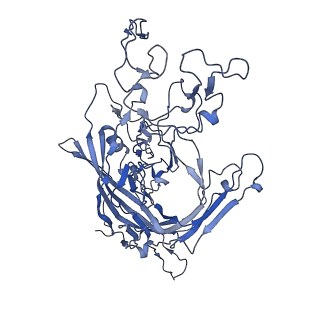 22010_6x2k_8_v1-1
The Tusavirus (TuV) capsid structure