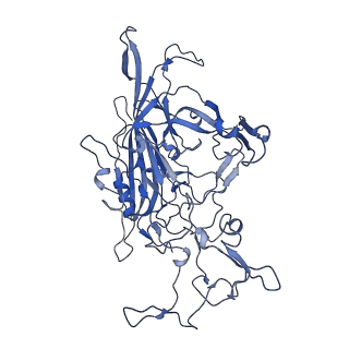 22010_6x2k_A_v1-0
The Tusavirus (TuV) capsid structure