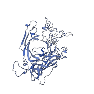 22010_6x2k_C_v1-0
The Tusavirus (TuV) capsid structure
