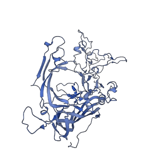 22010_6x2k_C_v1-1
The Tusavirus (TuV) capsid structure