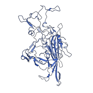 22010_6x2k_F_v1-0
The Tusavirus (TuV) capsid structure