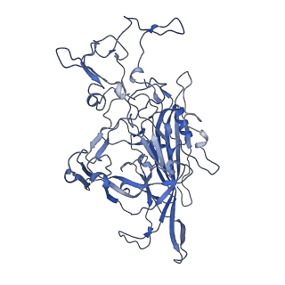 22010_6x2k_F_v1-1
The Tusavirus (TuV) capsid structure