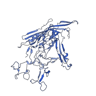 22010_6x2k_H_v1-1
The Tusavirus (TuV) capsid structure