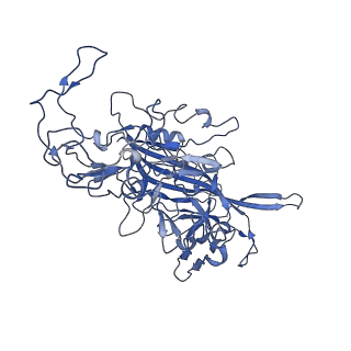 22010_6x2k_I_v1-0
The Tusavirus (TuV) capsid structure