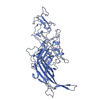 22010_6x2k_J_v1-0
The Tusavirus (TuV) capsid structure