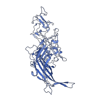 22010_6x2k_J_v1-1
The Tusavirus (TuV) capsid structure