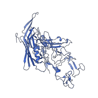 22010_6x2k_K_v1-0
The Tusavirus (TuV) capsid structure