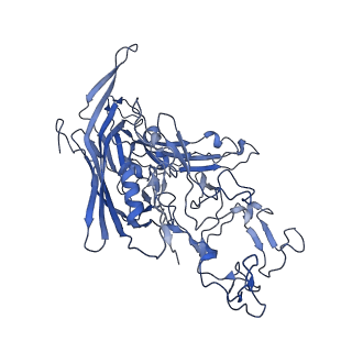 22010_6x2k_K_v1-1
The Tusavirus (TuV) capsid structure