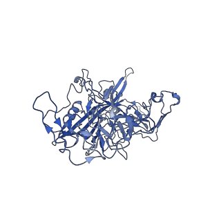 22010_6x2k_L_v1-0
The Tusavirus (TuV) capsid structure