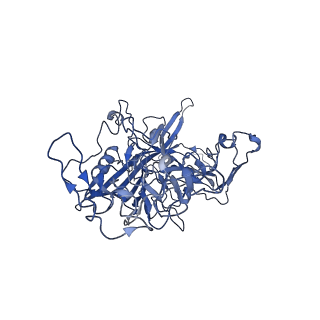 22010_6x2k_L_v1-1
The Tusavirus (TuV) capsid structure