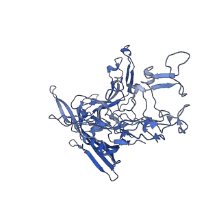 22010_6x2k_M_v1-0
The Tusavirus (TuV) capsid structure