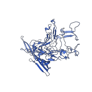 22010_6x2k_M_v1-1
The Tusavirus (TuV) capsid structure