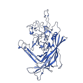 22010_6x2k_O_v1-0
The Tusavirus (TuV) capsid structure