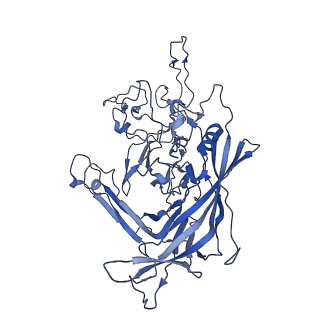 22010_6x2k_O_v1-1
The Tusavirus (TuV) capsid structure