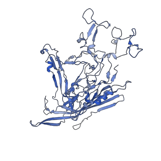 22010_6x2k_P_v1-0
The Tusavirus (TuV) capsid structure