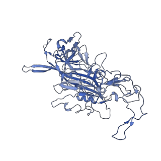 22010_6x2k_Q_v1-0
The Tusavirus (TuV) capsid structure