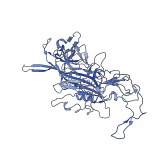 22010_6x2k_Q_v1-1
The Tusavirus (TuV) capsid structure