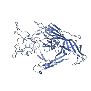 22010_6x2k_R_v1-0
The Tusavirus (TuV) capsid structure