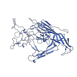 22010_6x2k_R_v1-1
The Tusavirus (TuV) capsid structure