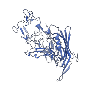 22010_6x2k_T_v1-0
The Tusavirus (TuV) capsid structure