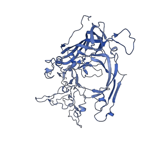 22010_6x2k_V_v1-0
The Tusavirus (TuV) capsid structure