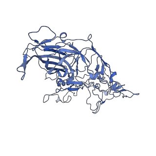 22010_6x2k_W_v1-1
The Tusavirus (TuV) capsid structure