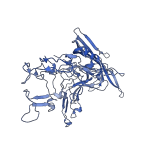 22010_6x2k_X_v1-0
The Tusavirus (TuV) capsid structure