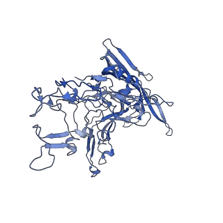 22010_6x2k_X_v1-1
The Tusavirus (TuV) capsid structure