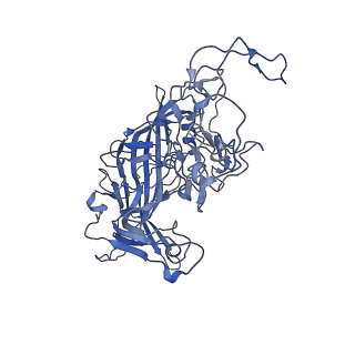 22010_6x2k_Y_v1-0
The Tusavirus (TuV) capsid structure