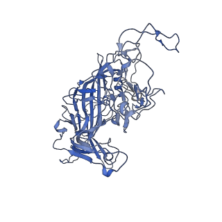 22010_6x2k_Y_v1-1
The Tusavirus (TuV) capsid structure