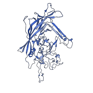 22010_6x2k_Z_v1-0
The Tusavirus (TuV) capsid structure