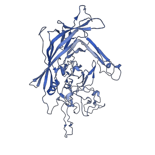 22010_6x2k_Z_v1-1
The Tusavirus (TuV) capsid structure