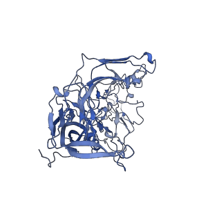 22010_6x2k_a_v1-0
The Tusavirus (TuV) capsid structure