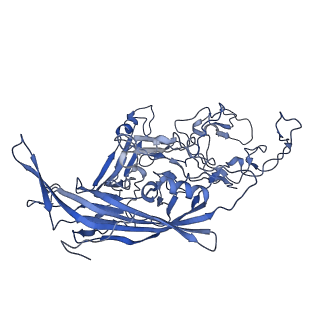 22010_6x2k_c_v1-0
The Tusavirus (TuV) capsid structure