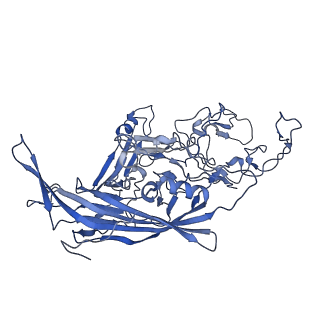 22010_6x2k_c_v1-1
The Tusavirus (TuV) capsid structure