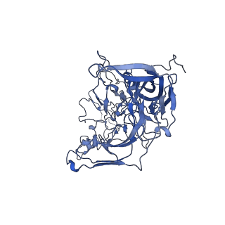22010_6x2k_d_v1-0
The Tusavirus (TuV) capsid structure