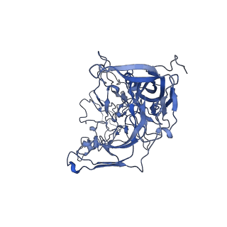 22010_6x2k_d_v1-1
The Tusavirus (TuV) capsid structure