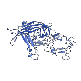 22010_6x2k_e_v1-1
The Tusavirus (TuV) capsid structure